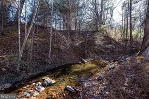 2800 Rocky Branch Rd, Luray, VA 22835 - Photo 76