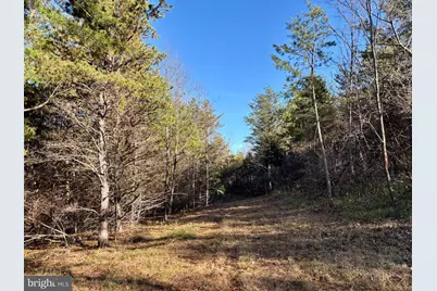 Harper Valley Road, Luray, VA 22835 - Photo 12