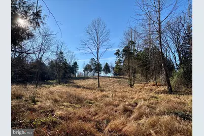 Harper Valley Road, Luray, VA 22835 - Photo 8