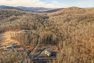 324 Old Wagon Rd, Luray, VA 22835 - Photo 40