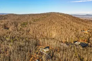 324 Old Wagon Rd, Luray, VA 22835 - Photo 42