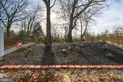 151 College Drive, Luray, VA 22835 - Photo 16