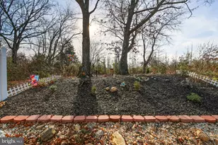 151 College Dr, Luray, VA 22835 - Photo 16