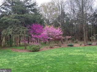 12101 Stretford Forest Ct, Bristow, VA 20136