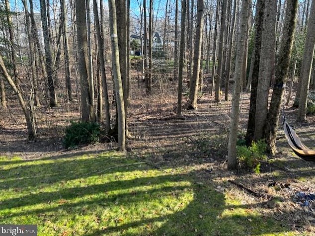 3909 Leaf Lawn Ln, Woodbridge VA  22192-4901 exterior