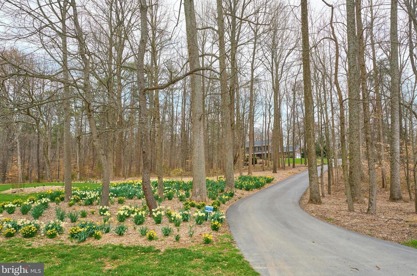16409 Jackson Hollow Rd, Haymarket, VA 20169