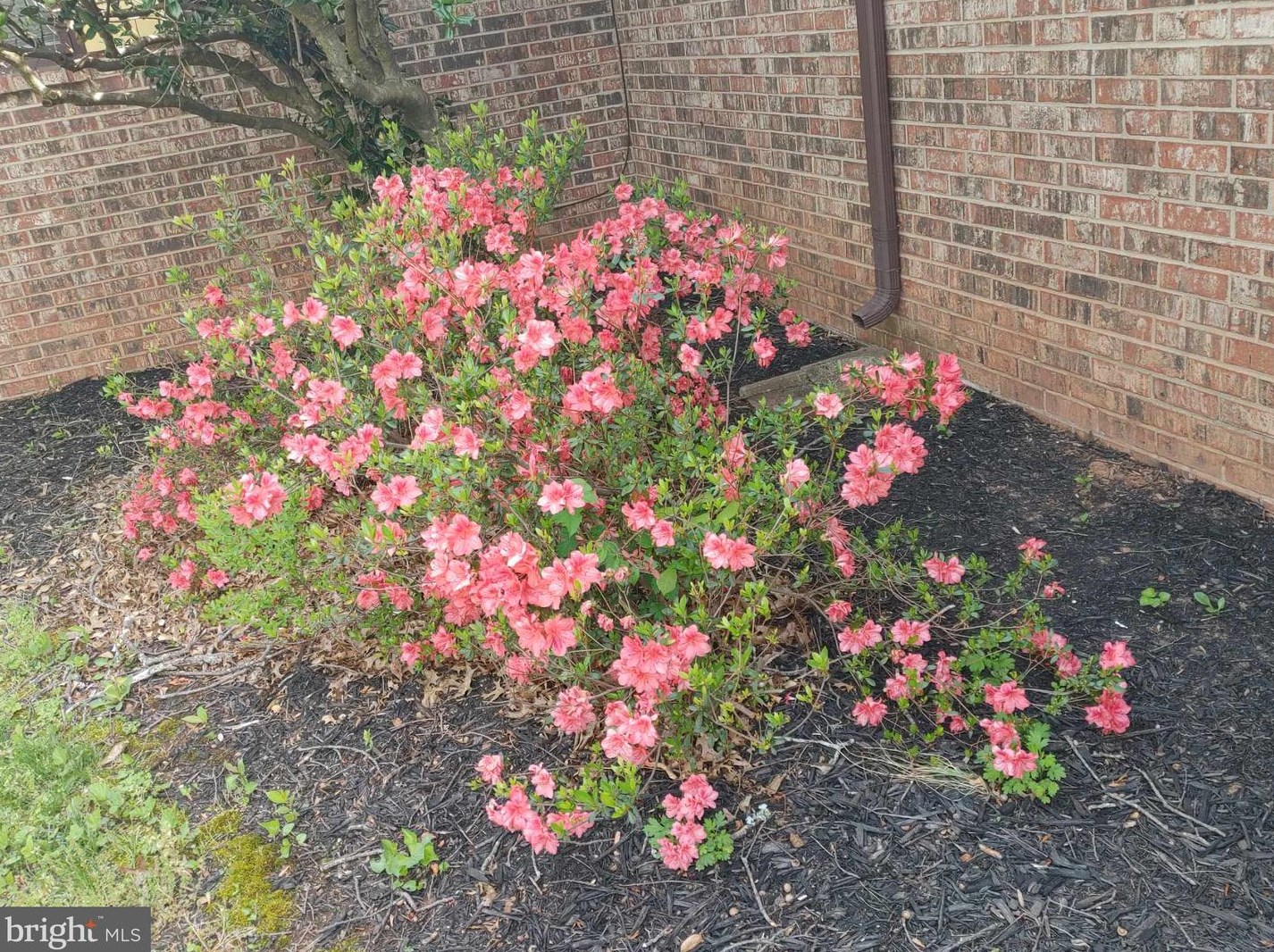8405 Sunset Dr, Manassas VA  20110-3827 exterior
