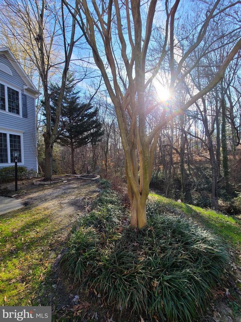 14240 Madrigal Dr, Woodbridge VA  22193-5955 exterior