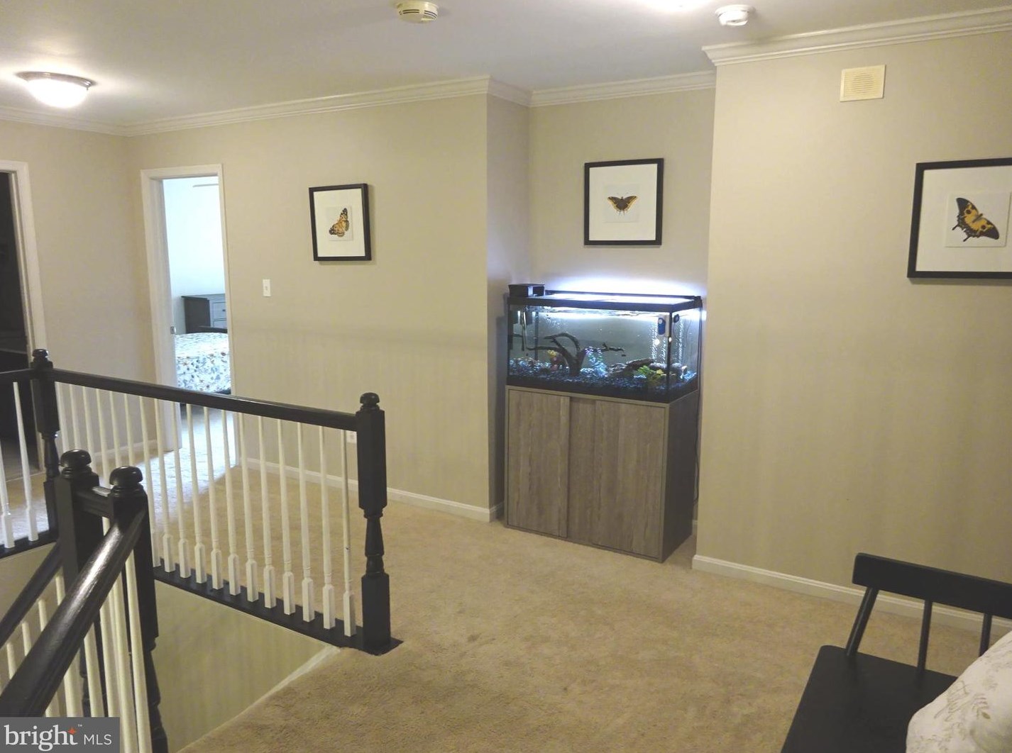 6601 Deep Hollow Ln, Manassas VA 20112-8620 exterior