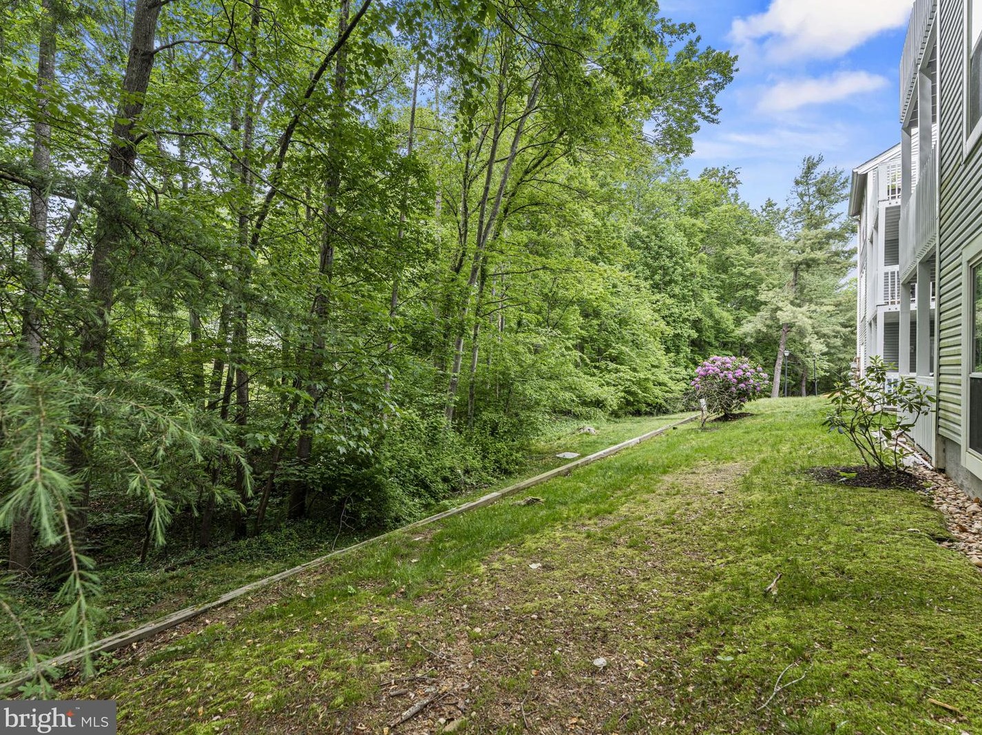 12084 Cardamom Dr, Woodbridge VA  22192-1443 exterior