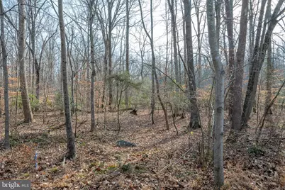 14435 Delaney Road, Woodbridge, VA 22193 - Photo 6