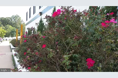 11441 Robertson Drive #201 & 202, Manassas, VA 20109 - Photo 4