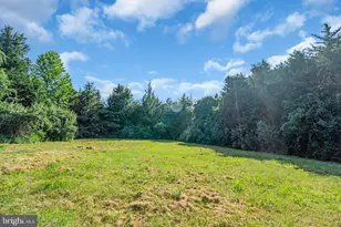 9800 Goldenberry Hill Ln, Manassas, VA 20112 - Photo 68