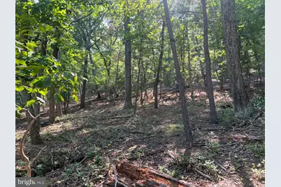 2608 Jackson Drive, Haymarket, VA 20169 - Photo 4