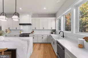 16630 Dominion Reserve Ct, Broad Run, VA 20137 - Photo 32