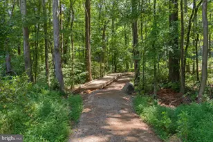 12801 Canova Dr, Manassas, VA 20112 - Photo 50