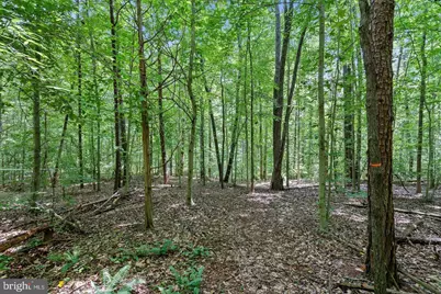 9671 Marlette Drive, Nokesville, VA 20181 - Photo 4