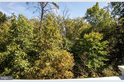 6113 Camerons Ferry Drive, Haymarket, VA 20169 - Photo 46