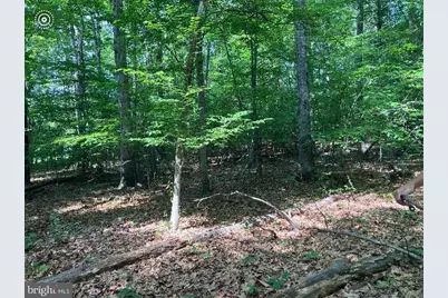 9343 Troy Drive, Nokesville, VA 20181 - Photo 2