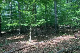 9343 Troy Dr, Nokesville, VA 20181 - Photo 2