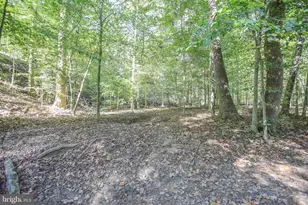 11521 Luther Dr, Manassas, VA 20112 - Photo 26