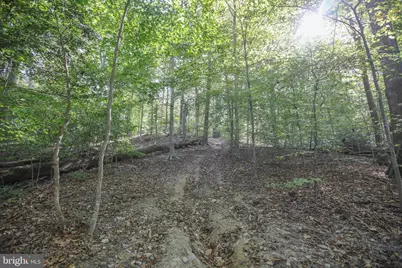 11521 Luther Drive, Manassas, VA 20112 - Photo 24