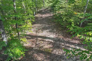 11521 Luther Dr, Manassas, VA 20112 - Photo 14