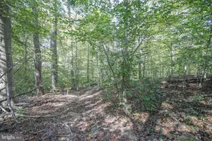 11521 Luther Dr, Manassas, VA 20112 - Photo 30
