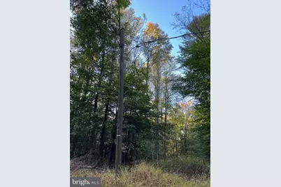 8125 Pappas Drive, Manassas, VA 20112 - Photo 4