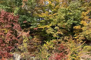 11999 Manning Rd, Manassas, VA 20112 - Photo 64