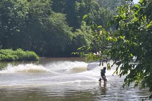 11999 Manning Rd, Manassas, VA 20112 - Photo 54