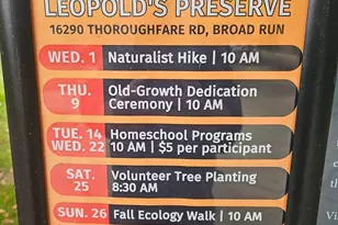 16061 Pitner St, Haymarket, VA 20169 - Photo 52