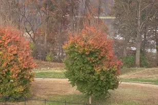 820 Belmont Bay Dr, Woodbridge, VA 22191 - Photo 56