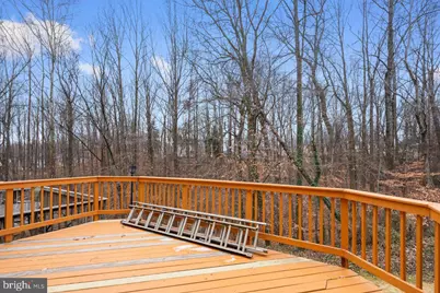 14669 Fox Glove Court, Woodbridge, VA 22193 - Photo 20