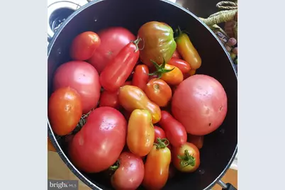 4170 Padgett Drive, Haymarket, VA 20169 - Photo 54