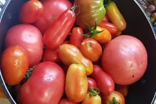 4170 Padgett Dr, Haymarket, VA 20169 - Photo 54