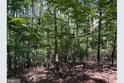 1504 Duffey Drive, Haymarket, VA 20169 - Photo 22