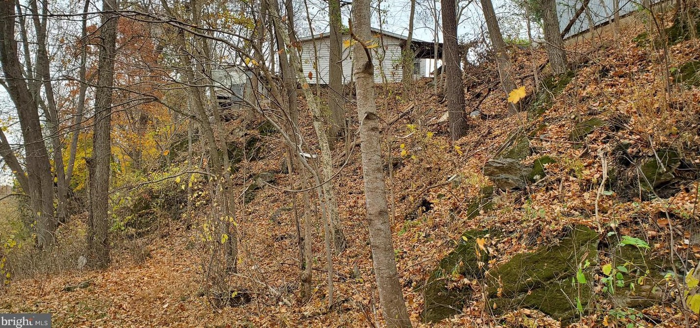 6816 Brocks Gap Rd, Broadway, VA 22815