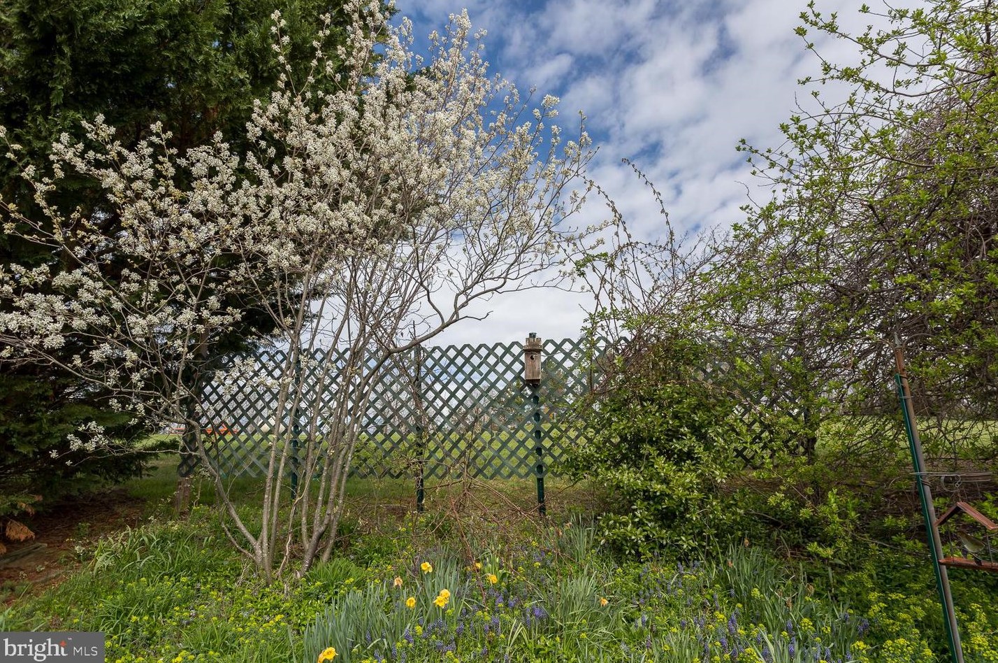 235 Windy Knoll Dr, Harrisonburg VA  22802-8886 exterior