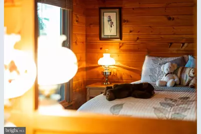 22606 German River Road, Criders, VA 22820 - Photo 74