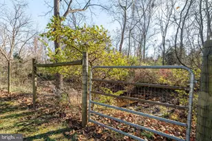 410 E East Rockingham St, Elkton, VA 22827 - Photo 56