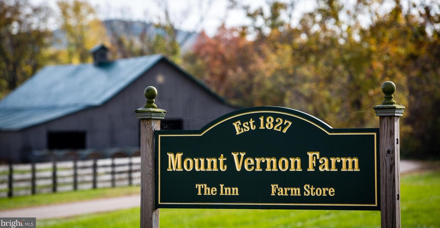 147 Mount Vernon Ln, Sperryville, VA 22740