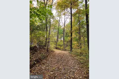 Woodlands Drive, Flint Hill, VA 22627 - Photo 24