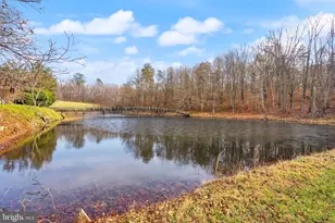 375 7 Ponds Rd, Amissville, VA 20106 - Photo 94