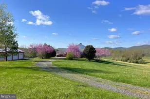 3542 Slate Mills Rd, Sperryville, VA 22740 - Photo 28