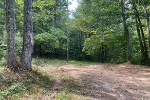 Tbd Jackson Ln, Boston, VA 22713 - Photo 1