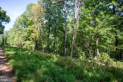 Tbd Jackson Lane, Boston, VA 22713 - Photo 12