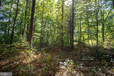Tbd Jackson Lane, Boston, VA 22713 - Photo 8