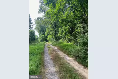 Tbd Jackson Lane, Boston, VA 22713 - Photo 2