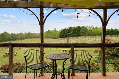 92 Schoolhouse Road, Washington, VA 22747 - Photo 32